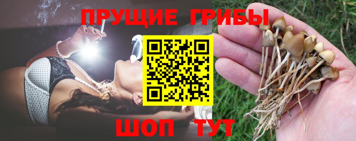 Галлюциногенные грибы прущие грибы  Вход с VPN  Мурманск 